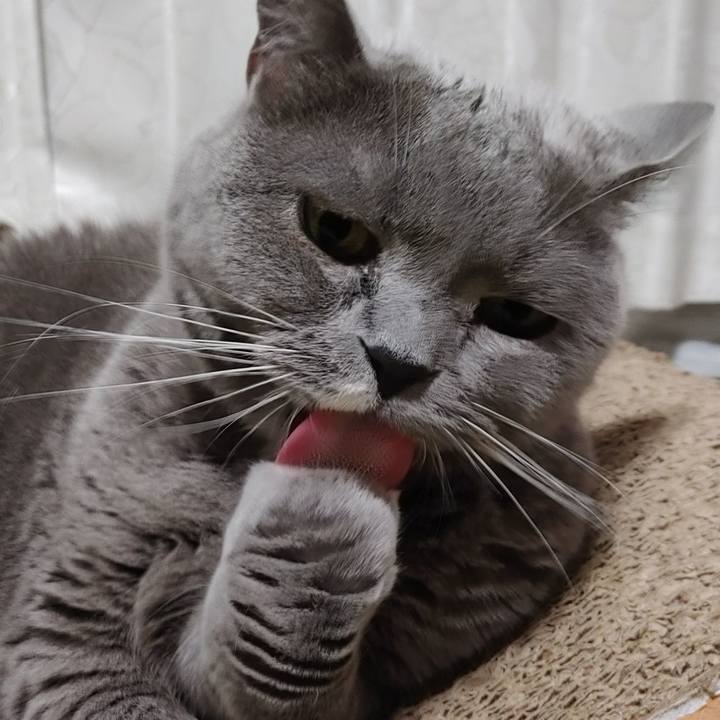 D2b07047 5ae1 439c b14a f08f492338c1 1717248076350