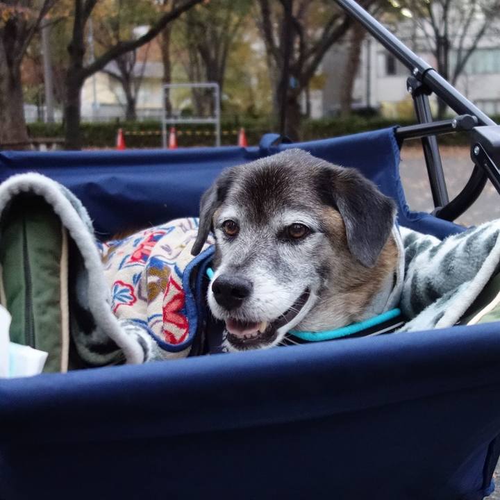 D2b08cca 165b 42a1 96a9 c9a0cb6345fc 1575619894820