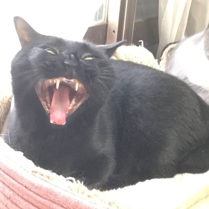 D2b0ca35 09ef 4c6b 84da e3560e2e4506 1594972161898