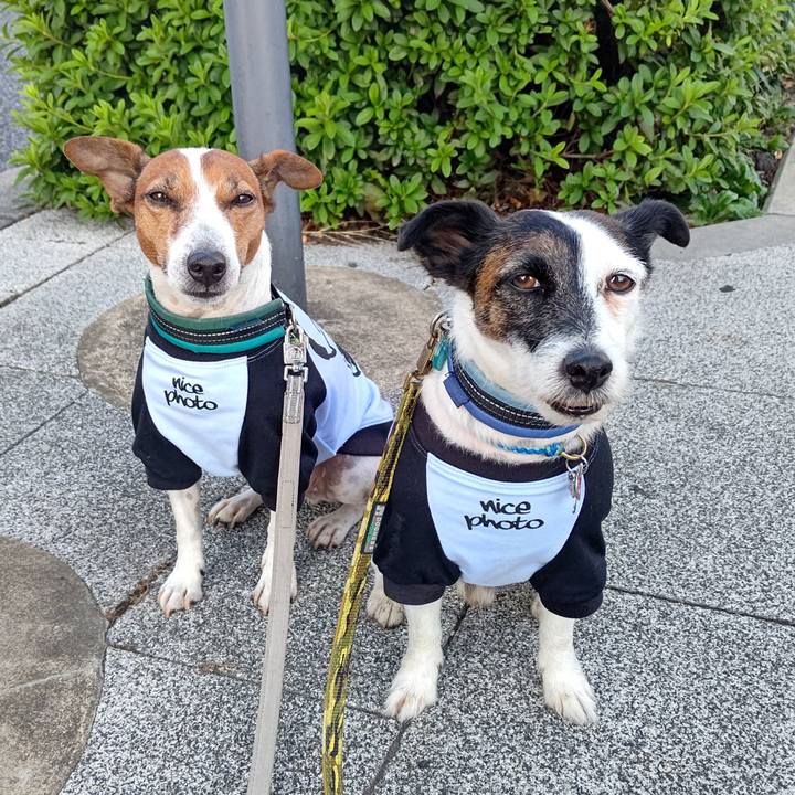 D2b0f33b ed9f 4e25 8441 ac5e6cd01cc1 1698991451836