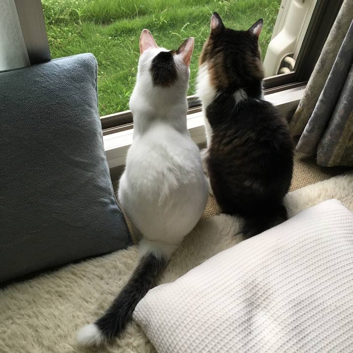 D2b10936 c90c 4213 ac87 15b593c222a2 1538092465347