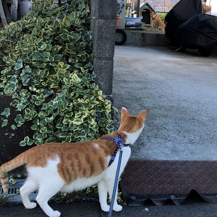 D2b10a80 bd15 468f b2f4 dd27e38db323 1542336045079