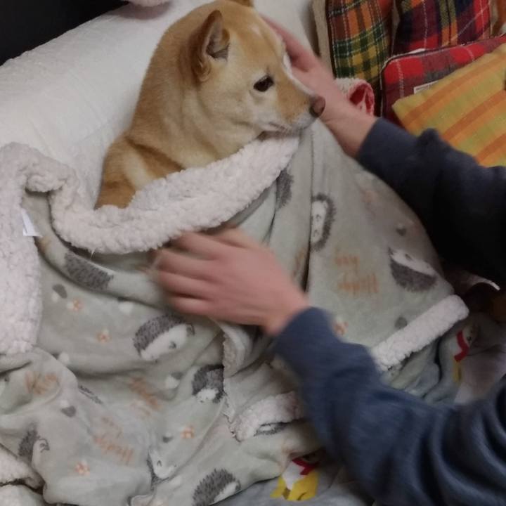 D2b1151c c23f 4894 95a6 e2a064136b78 1610667409191