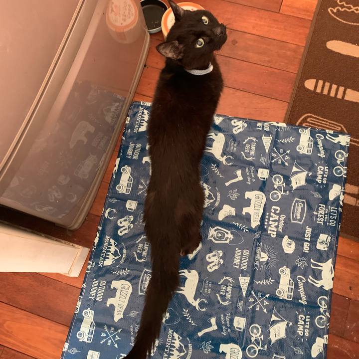 D2b1cc87 3ca2 404d 96d5 9420e6de2d0c 1545230846931