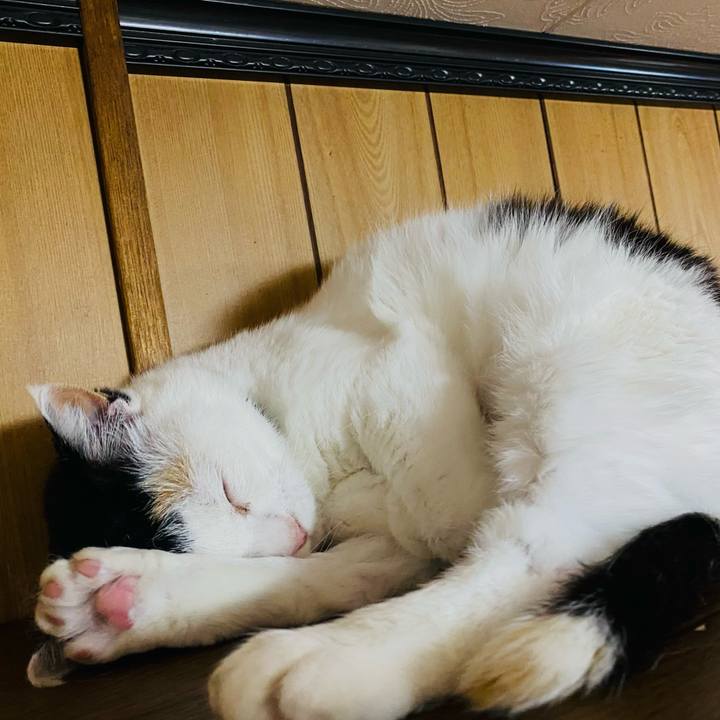 D2b2265c da0d 4b70 bcb1 c9e373e8f4cd 1653310232413