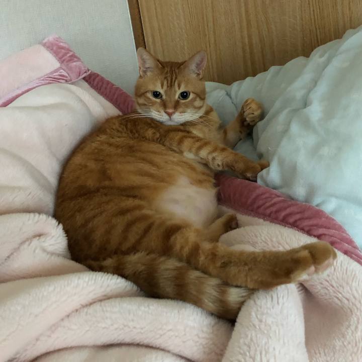 D2b23ce9 5f01 4a33 9225 1c1681c6b19f 1649192610633