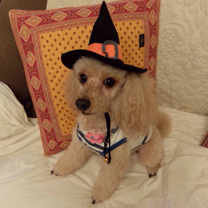 D2b25240 f347 424f 8eea b36c44e7bd0f 1542406696412