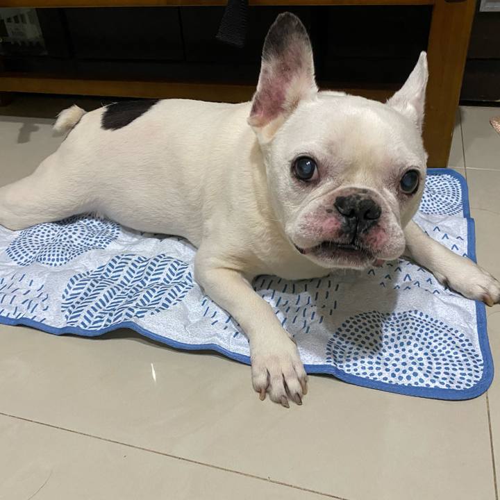 D2b28970 c858 4563 b9c0 30ce3c9f4eb0 1593750972296