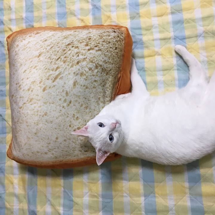 D2b2d96c 6e72 460d a6c8 d5546c4c7cad 1526555697964