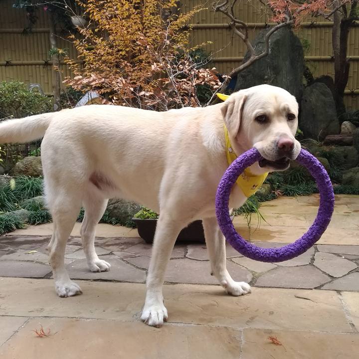 D2b2f408 9aaa 4a30 9662 4e3ace7c494d 1576056790597