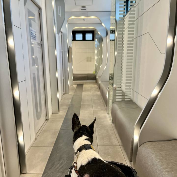 D2b2fb4c 8251 4870 b987 ca6336950f28 1655629588349