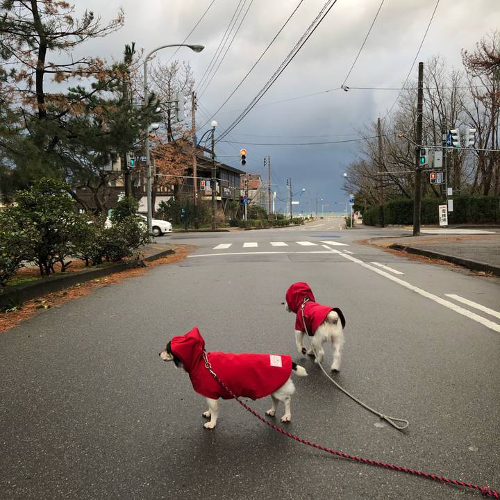 D2b310e5 f672 45c7 8be8 f7dafa0e5bae 1580859034342