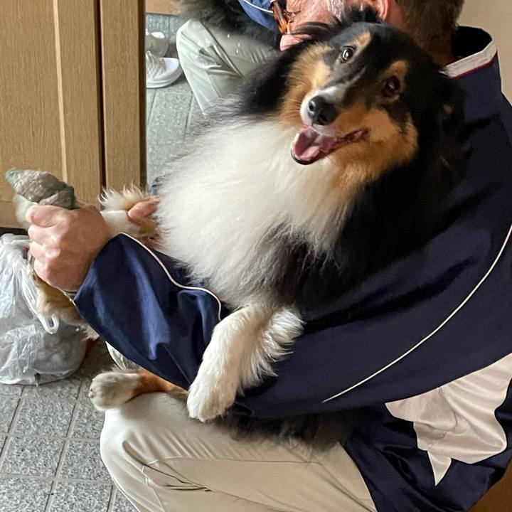 D2b33c23 3104 4dec 8e25 5c4c1b052a53 1620944262096