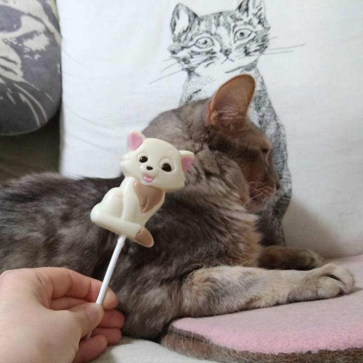 D2b364a6 cd6d 48d8 b63c f2e1e4fd56cd 1619869853360