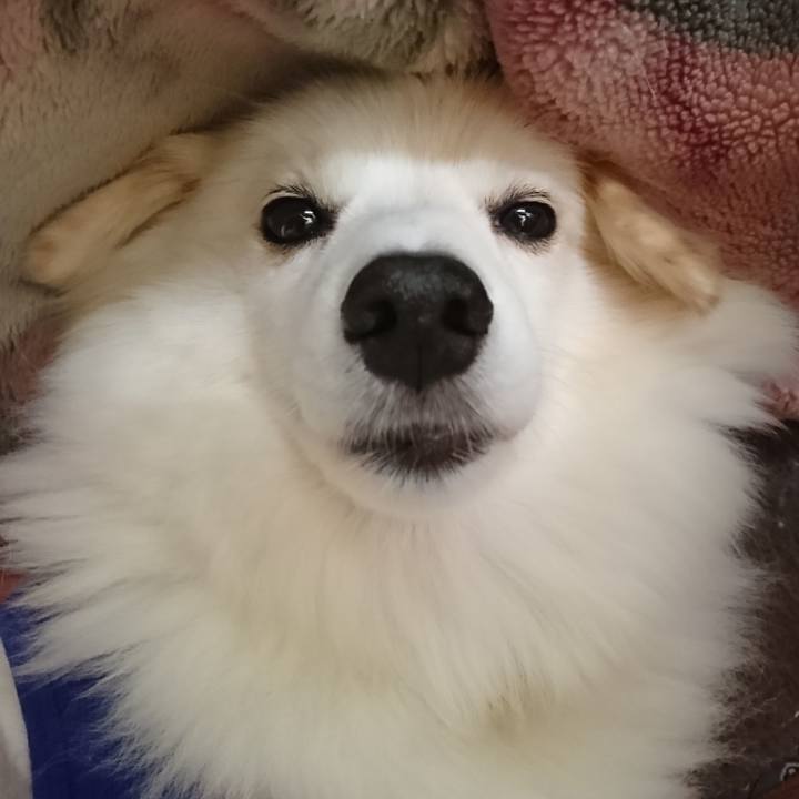 D2b364ba 2d1d 45f9 b928 ef1cd4ba0a24 1539579585080