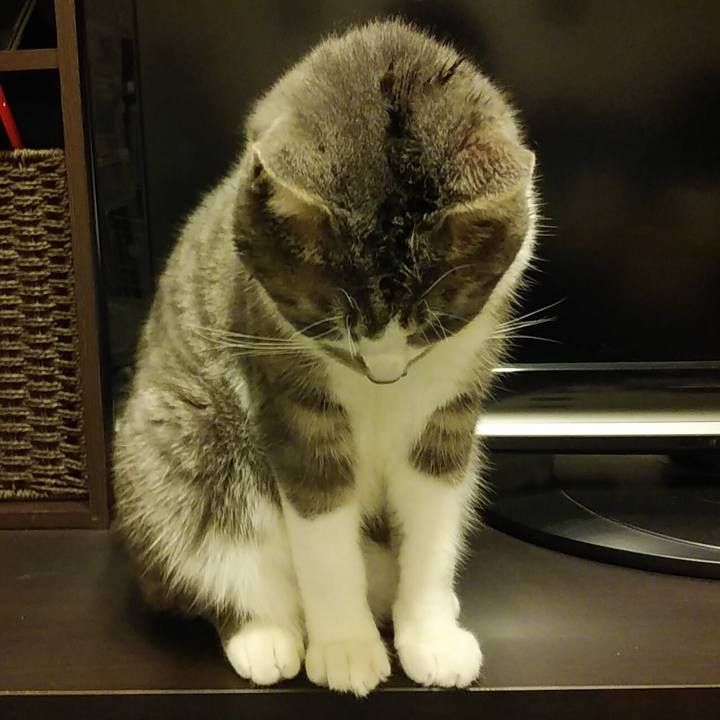 D2b3fdfb 99ab 40a9 8c0f 50a032405184 1582987701446