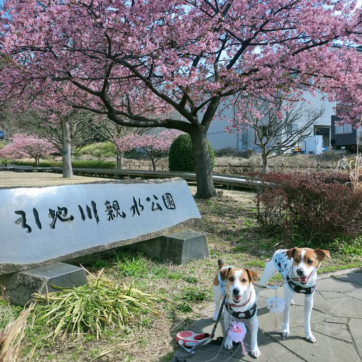 D2b3fe12 3af1 448f b525 c894fbb88465 1772262841315