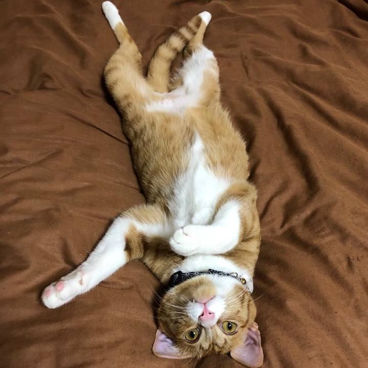 D2b410bb 9f2f 411f 8d60 0dad7274aca1 1558262520060