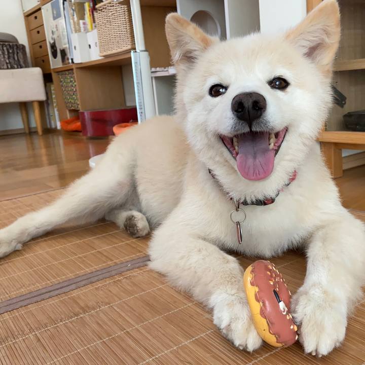 D2b458ca 1d55 458b bd6f 6d7f6e6cec18 1694065005095