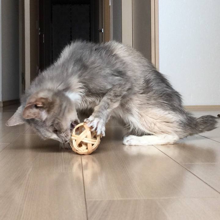 D2b461e7 8fff 442c b6db 1c97348b91a7 1528599745572