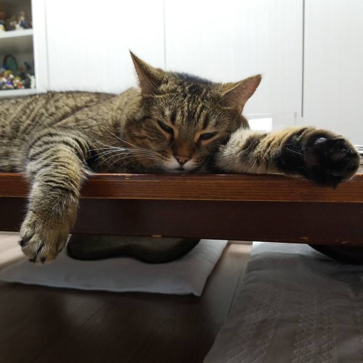 D2b49e2d 3cba 40b3 89fd 9b7787d92eff 1572383547135