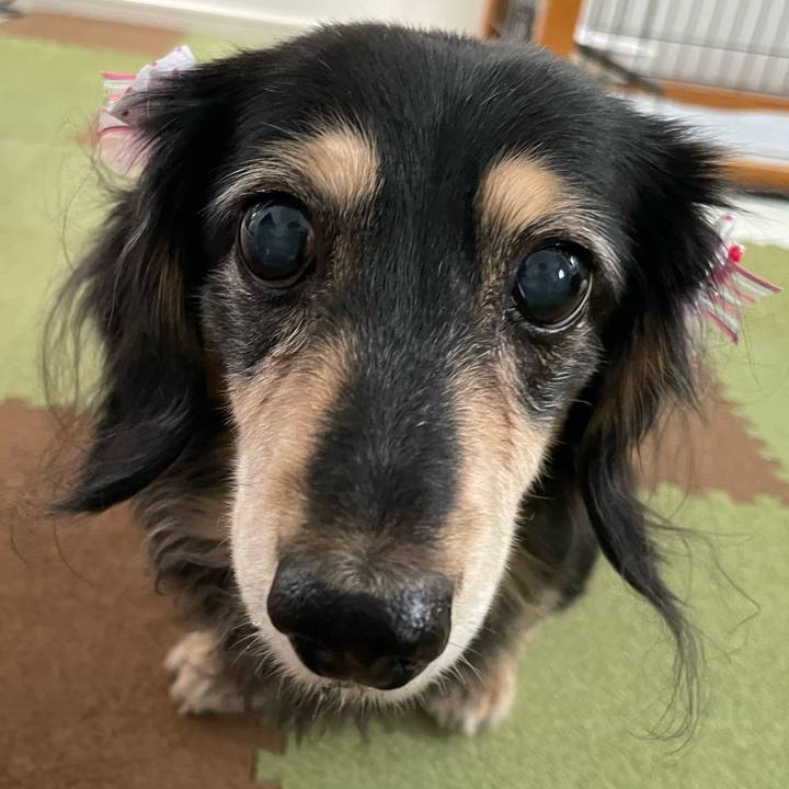 D2b4c297 3dc0 4082 8750 f6f5a3569d90 1661688493241