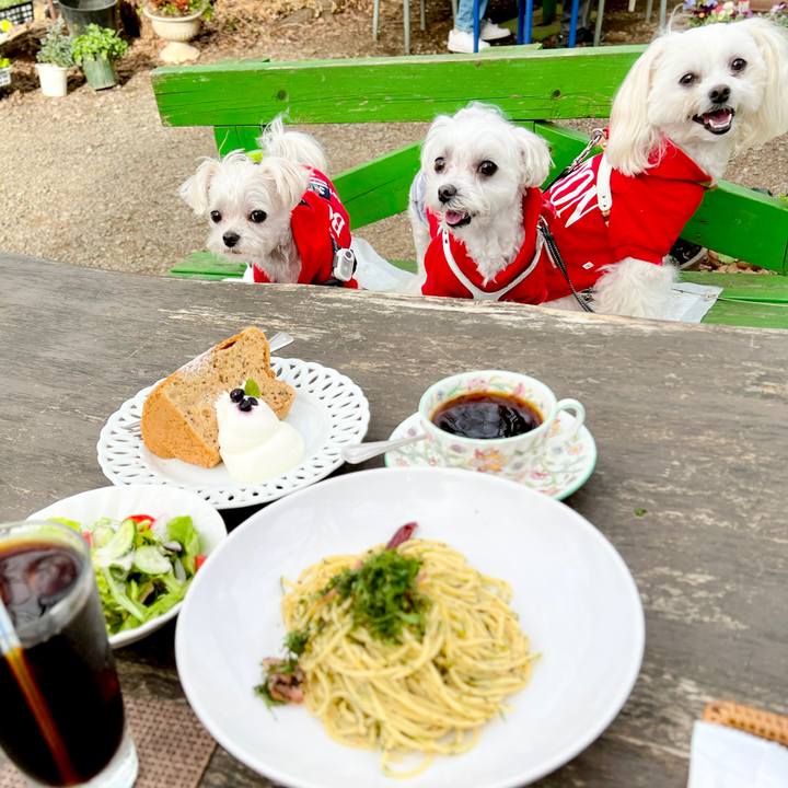 D2b5292a 1a86 4d62 b0db 8d1417d6e295 1676794739820