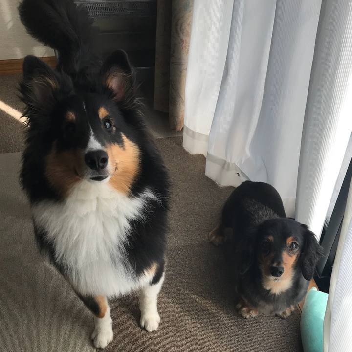 D2b53b4d c4ee 42d1 9b08 778f44c1372d 1526335574710