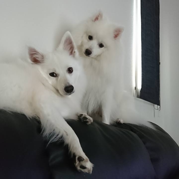 D2b55959 47ad 4f72 8278 6dfec4b41a9b 1571288334418