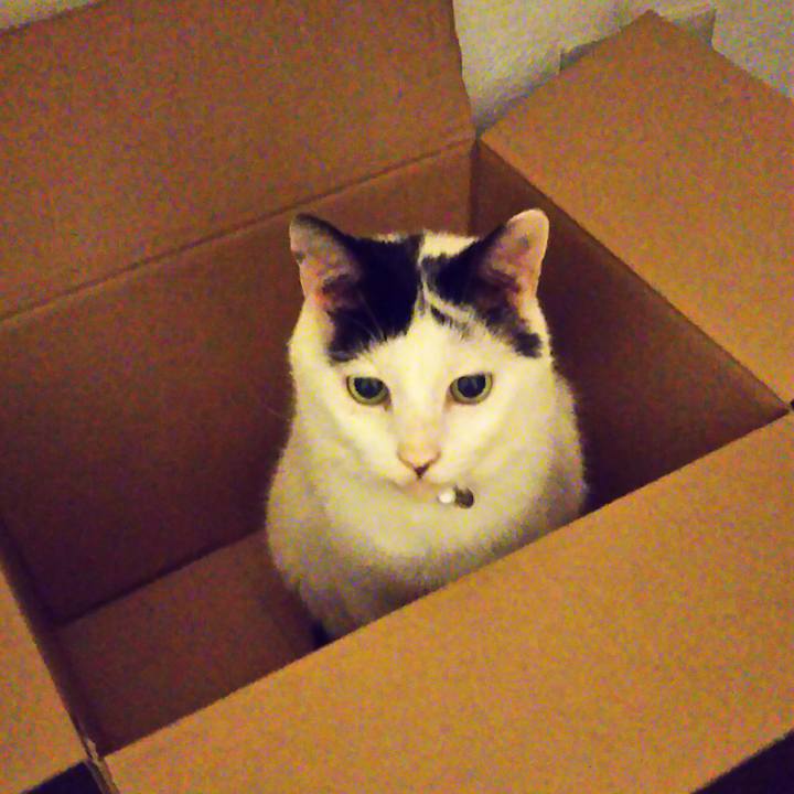 D2b55db7 14af 42ea ab99 dae6ccf30e09 1568808586545