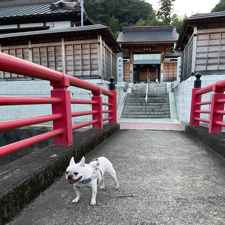 D2b55f49 5202 4a3c b248 ec147753a6e6 1755988479425