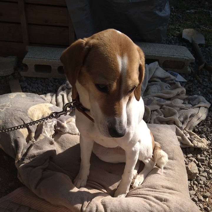 D2b57d78 fb3c 48ea b32e b7b94e8e5a06 1646286034453