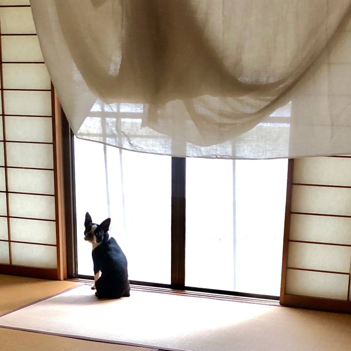 D2b59ab5 0663 42aa afcf 2dabd11a77e1 1563006969125