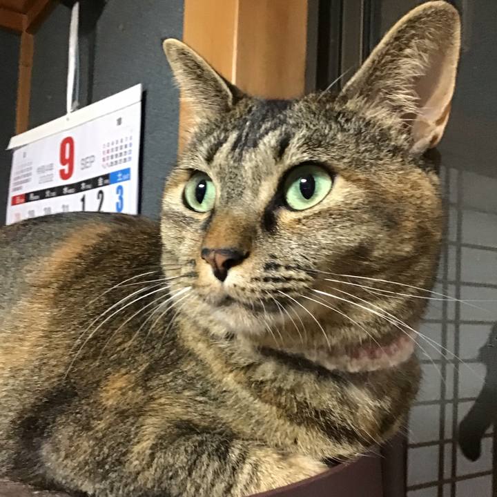 D2b5be86 c359 4bff 87b9 2a2a35a69655 1663762812783