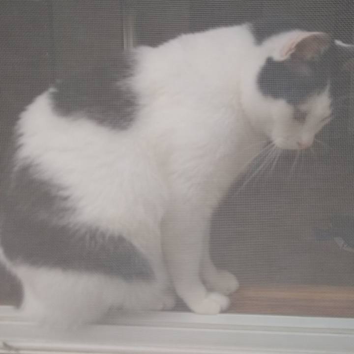 D2b5d466 15f2 4812 a939 933b463e4972 1561287258299