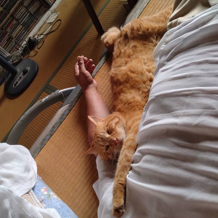 D2b5e335 923d 4e39 985a 899845233a51 1721798615370