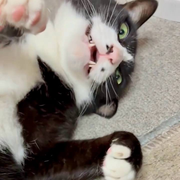 D2b60342 0ae0 4c3f b9a0 b9914b27be64 1749347399471