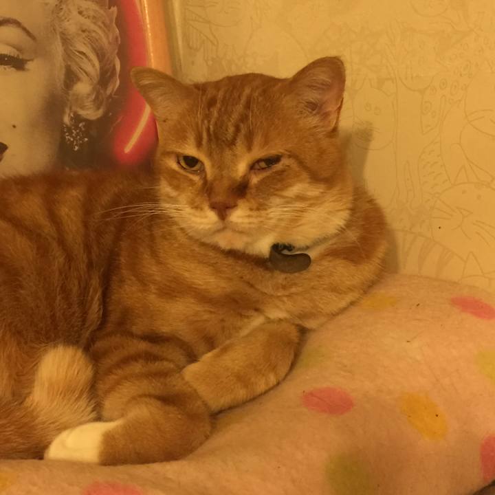 D2b60bf8 32cf 4a7d b5d5 2351c29a221d 1557068411803