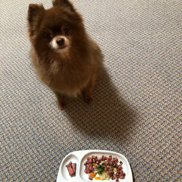 D2b6365f 1a79 460c 8234 cea4ae513df1 1549886977926