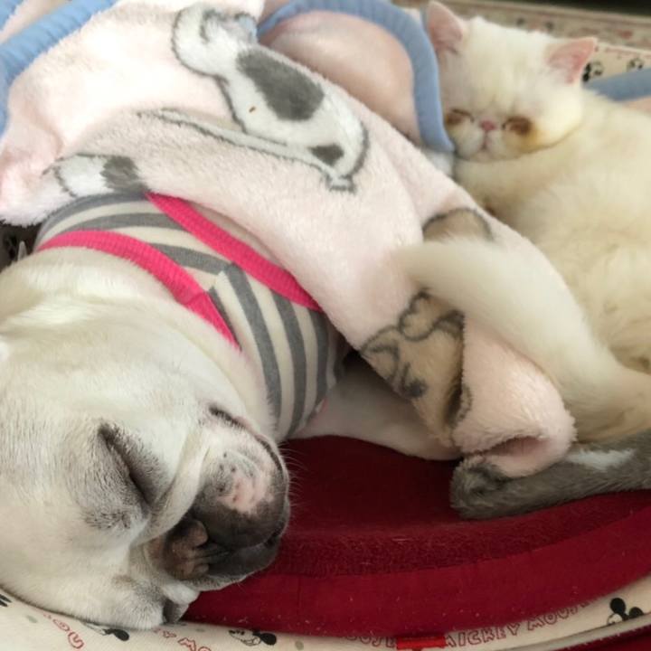 D2b63713 33c3 4fdc 85f2 f2c8a0e97520 1552574934402