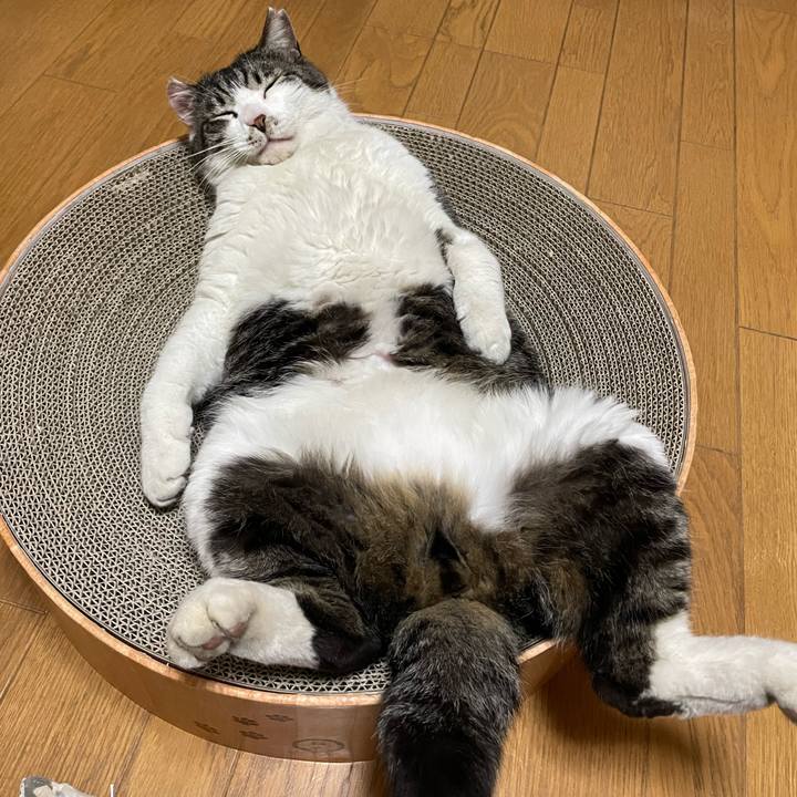 D2b67df2 cc26 4be9 b603 52106fdfb30c 1685184976243