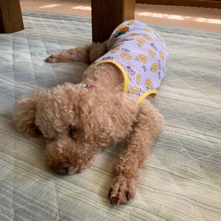 D2b69ca1 8dda 4186 8312 e09c9ea1533f 1628123723581