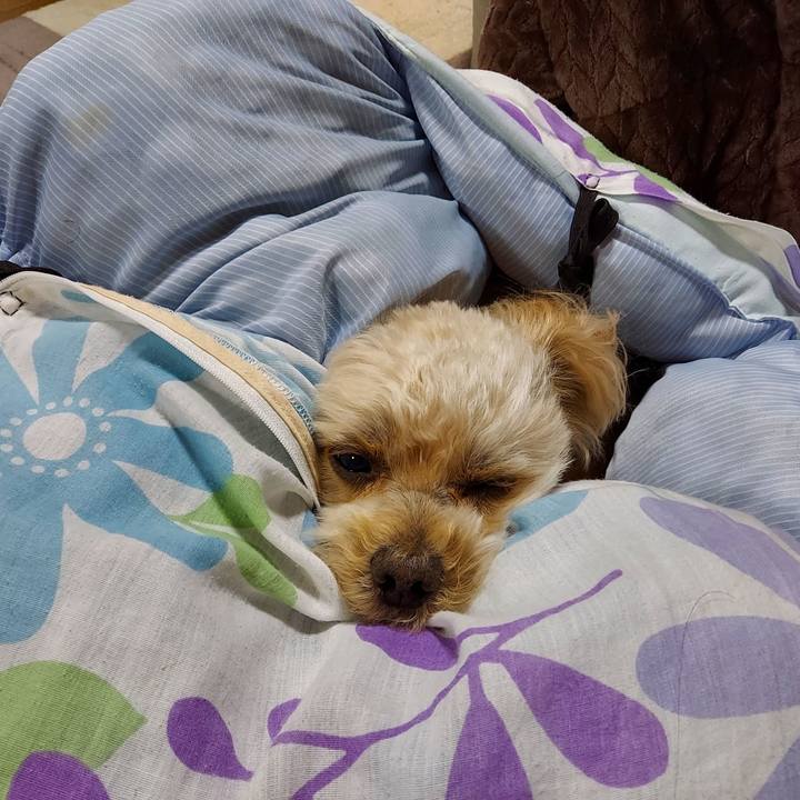 D2b69eab af9c 401e be64 e26838c24c62 1640080741546