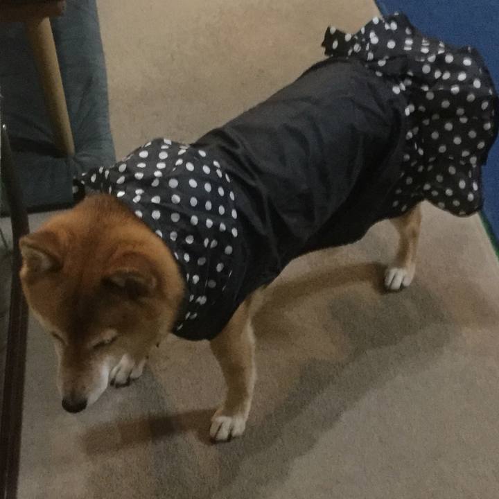 D2b6b74d 57e2 43b5 b5af 07585486a003 1560050469833