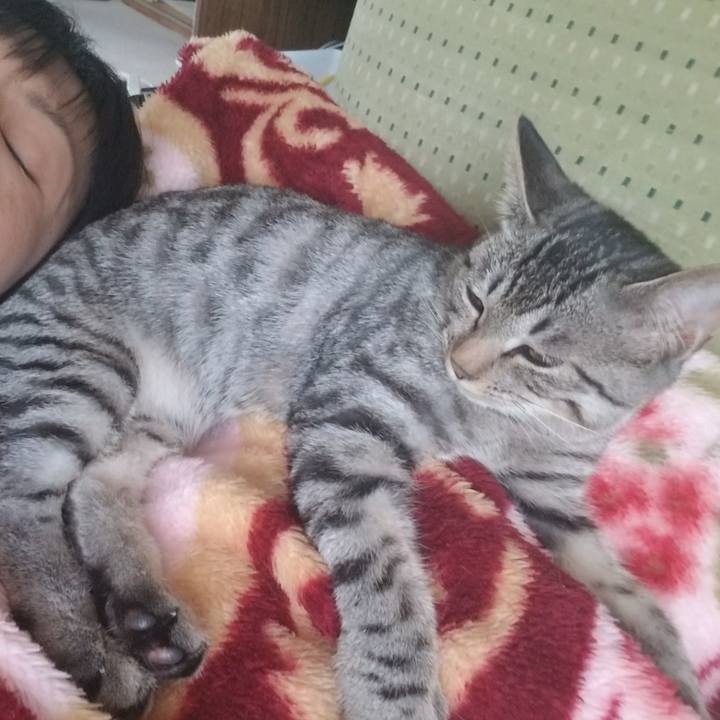 D2b6c191 af5f 439e 9633 3ab809985ba5 1669817686350