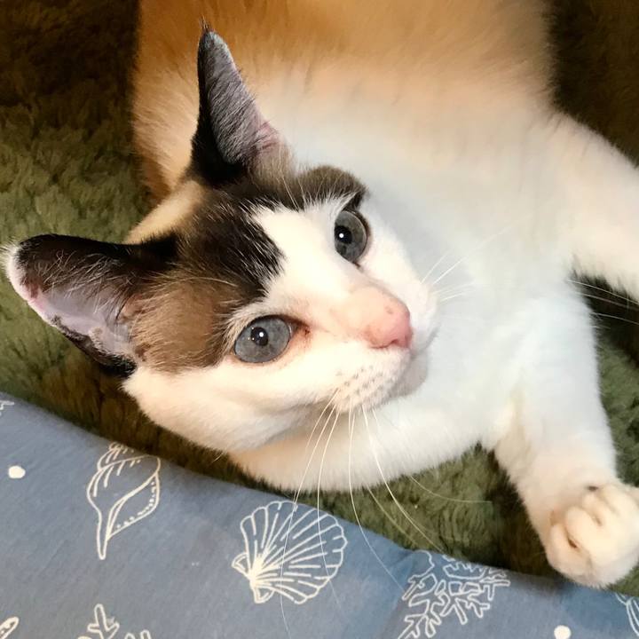 D2b6c882 3354 49d3 b183 50edcf81bff6 1587781947775