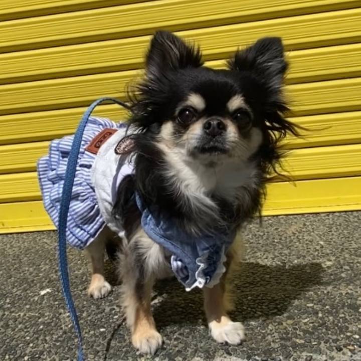 D2b70645 d7d1 4053 adb3 910598d05ab8 1655170796846