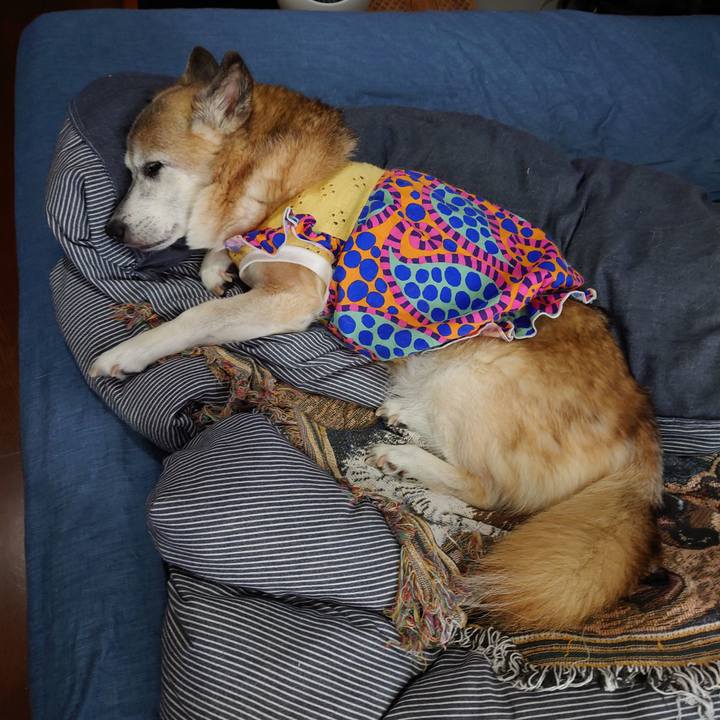 D2b74093 3d8d 4ff3 872e 7844206ca7f3 1727407127654