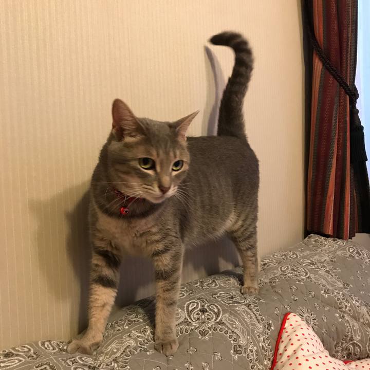 D2b769b8 ce48 4077 99c7 1086eed4ce21 1593751233748