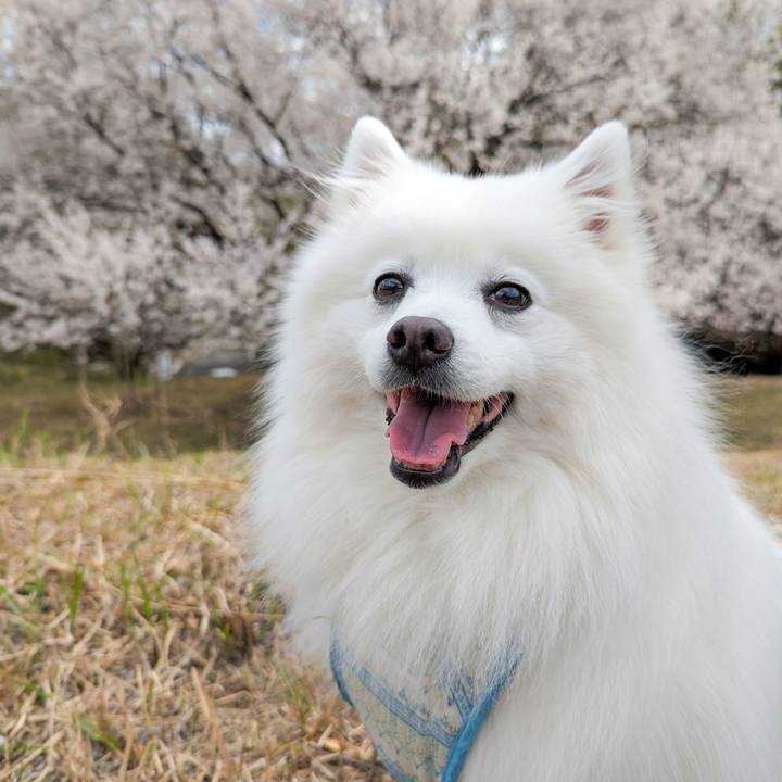 D2b7c61c 3d7b 4af0 93f4 1659f34ac807 1763167312920